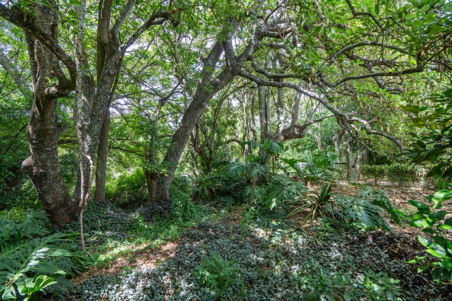 To Let 2 Bedroom Property for Rent in Bathurst Eastern Cape